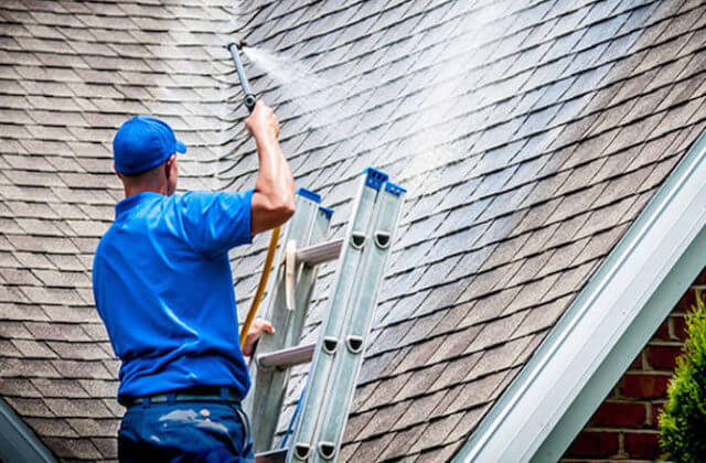 chesapeake roof cleaning